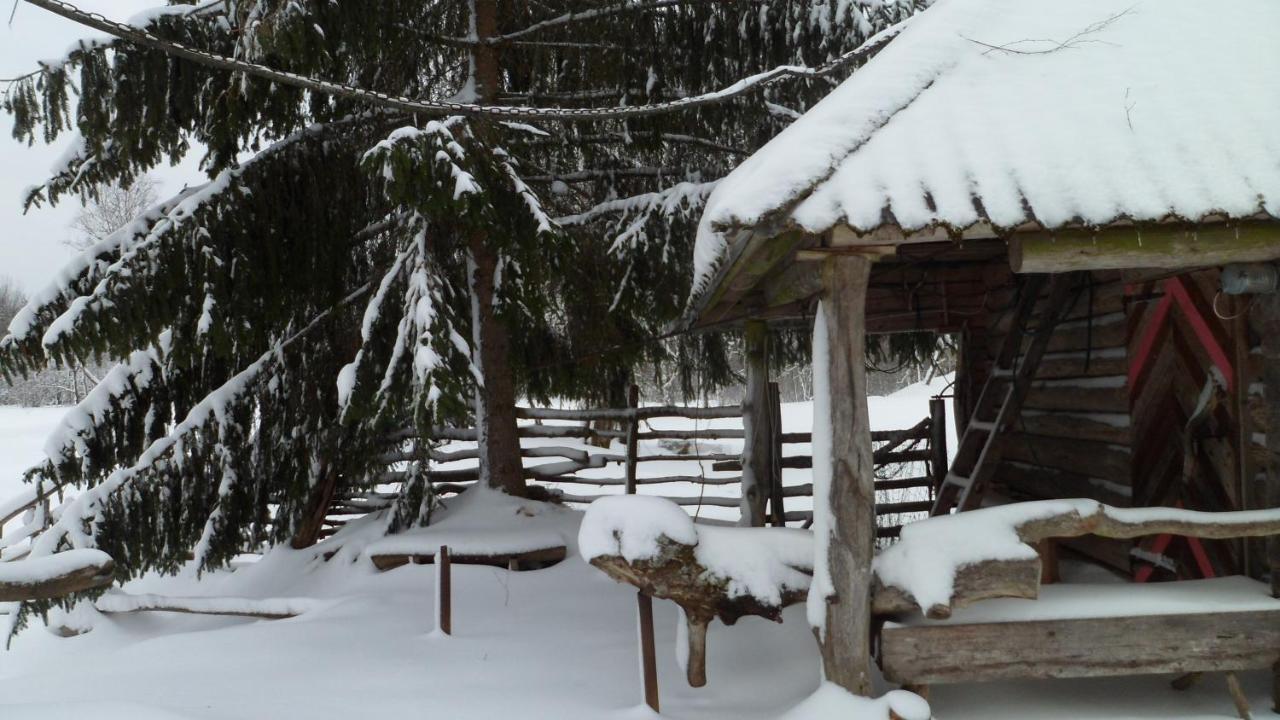 Viruna Farm Kiraste Luaran gambar