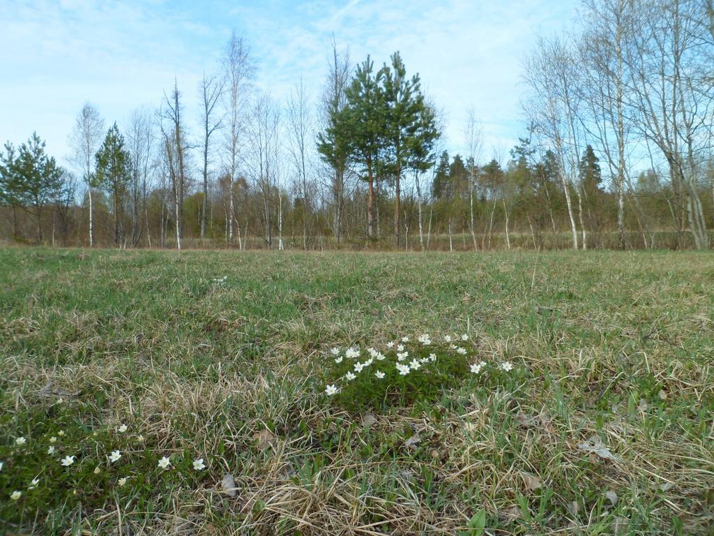 Viruna Farm Kiraste Luaran gambar