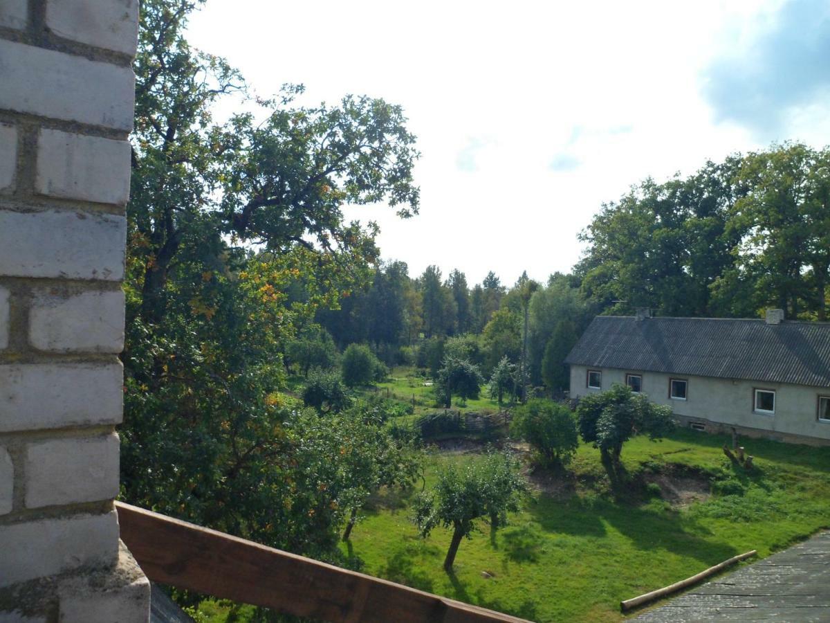 Viruna Farm Kiraste Luaran gambar