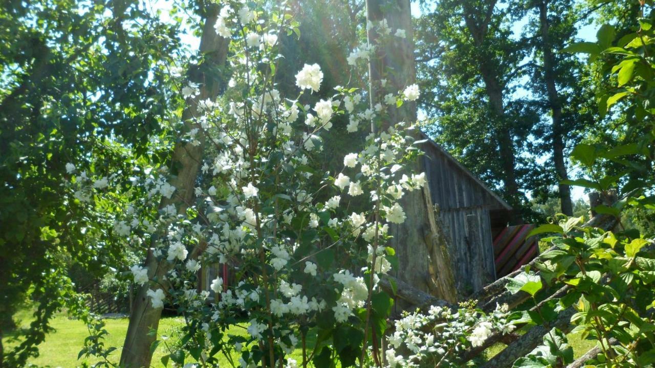 Viruna Farm Kiraste Luaran gambar