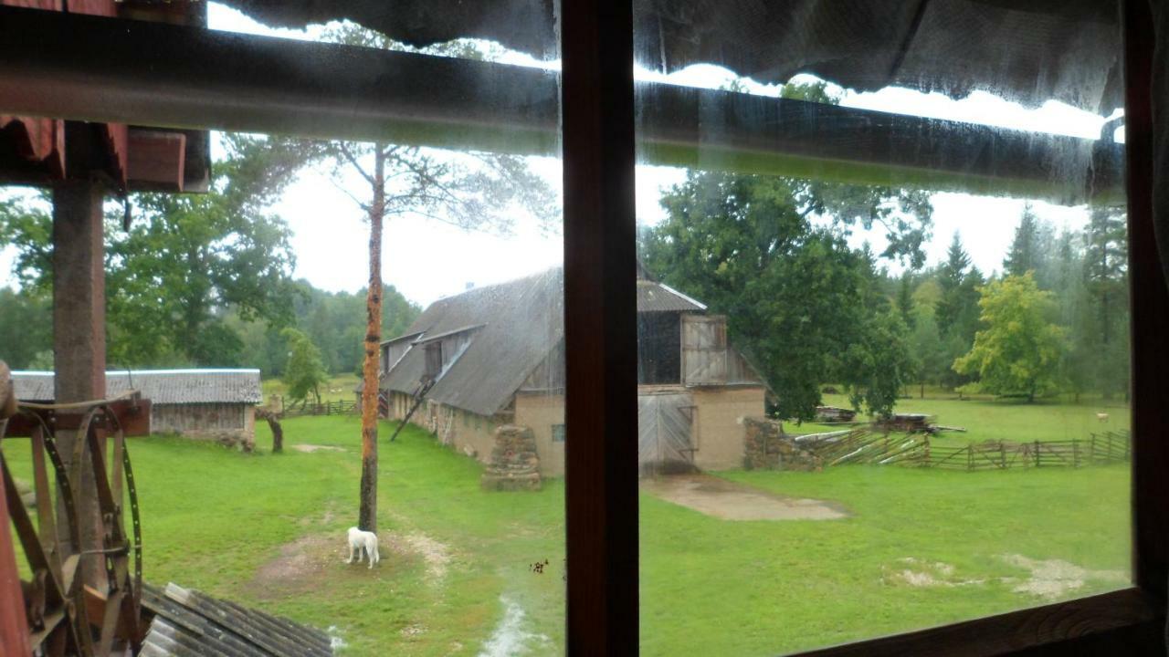 Viruna Farm Kiraste Luaran gambar