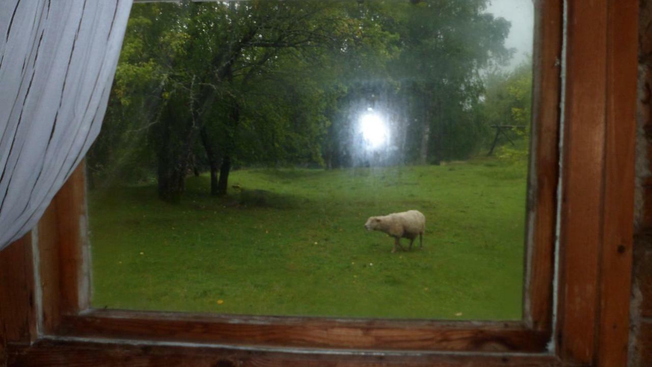 Viruna Farm Kiraste Luaran gambar